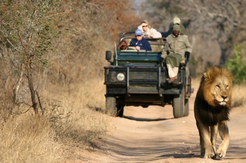 Safari 4x4 en réserve privée