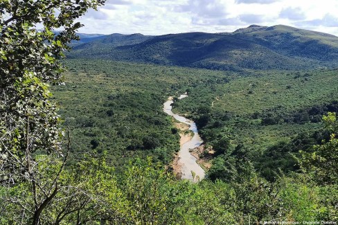 Parc national Hluhluwe dans le Zululand en Afrique du Sud