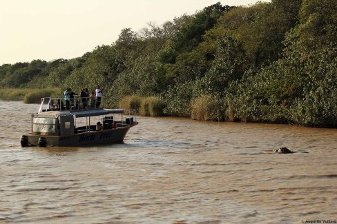 Safari en bateau à Sainte Lucie en Afrique du Sud