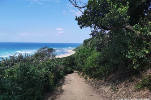 Plage de l'océan Indien dans le KwaZulu Natal