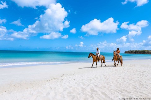 Balade à cheval sur les plages d'Antigua