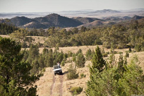 4WD-Ridgetop-drive-2-Arkaba-Randy-Larcombe-Tourism-Australia