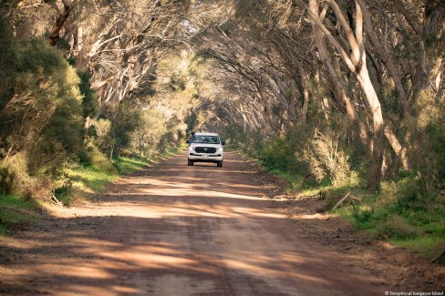 Exceptional Kangaroo Island, South Australia