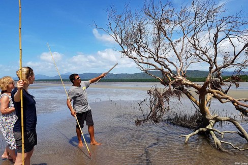 chasse-mud-crab-mangrove-Daintree-Muriel-Concy