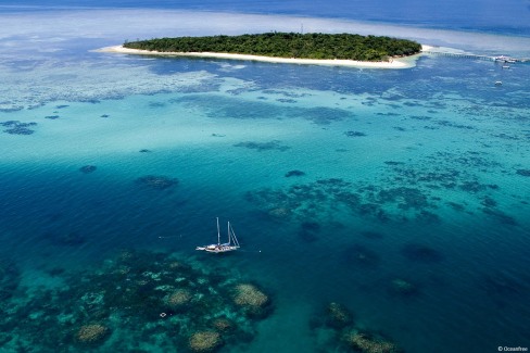 Ocean-Free-on-Great-Barrier-Reef