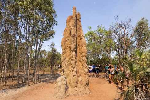 Termite-mounds-Kakadu-National-Park