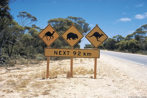 Eyre-Highway-road-signs-104250-2