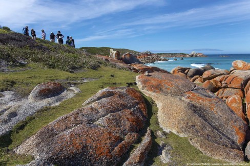 Bay-Of-Fires-Walk-Mount-William-National-Park