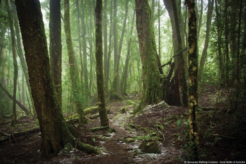 Cradle-Mountain-Huts-Overland-Track-Walk