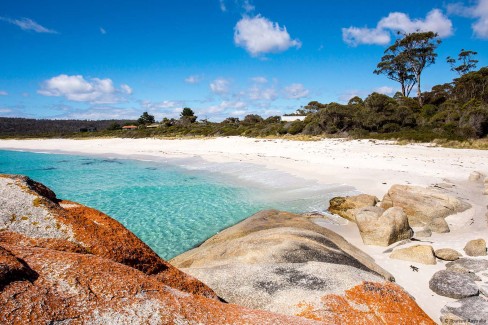 The-Gardens-Bay-of-Fires-Tasmanie