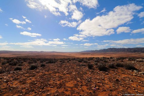 Traversée en train des paysages infinis de l'Outback en Australie