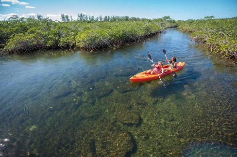 Kayak dans la mangrove sur l'île Grand Bahama