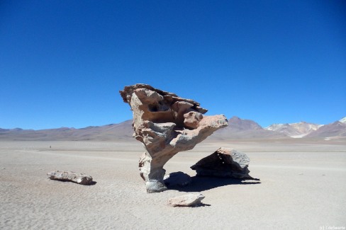 L'arbre de pierre dans le désert de Dali