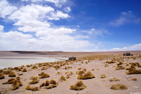 Une lagune dans le désert de Bolivie
