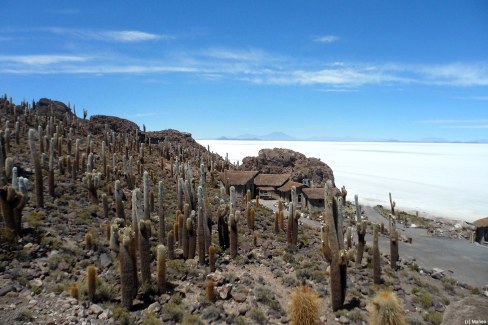 Désert de sel d'Uyuni depuis l'île d'Incahuasi