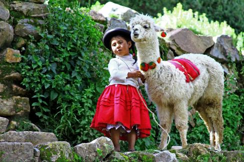 Une petite fille bolivienne et son lama