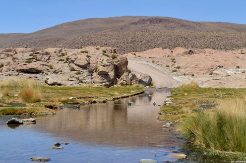 Une route atypique dans le désert bolivien