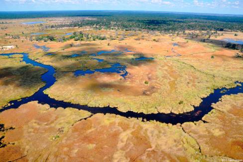 Nature entre Khwai et Moremi