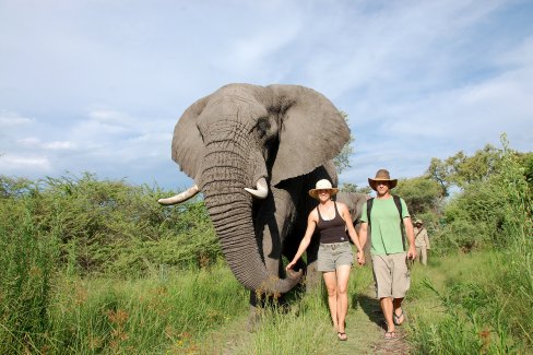 Balade avec les éléphants au Stanleys Camp