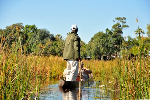 Safari sur le delta de l'Okavango