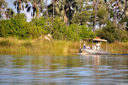 Traversée du delta de l Okavango