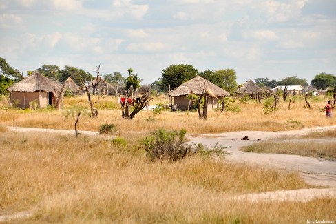 Village traditionnel au coeur du delta