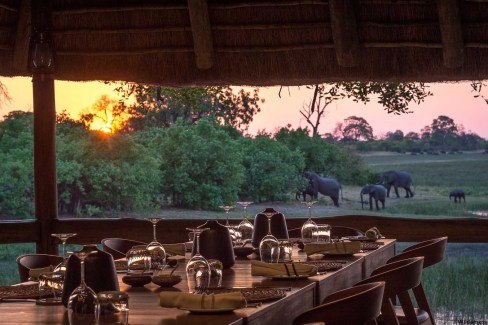 Dîner au crépuscule à Savute