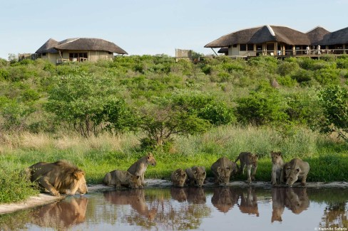 Le "bar à fauve" dans le Central  Kalahari au Botswana