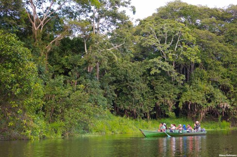 Excursion-en-Amazonie-Marco-Eichmann-web