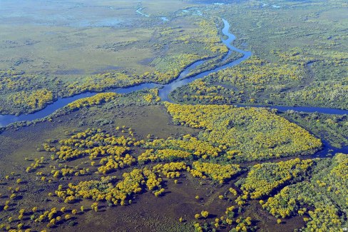 Pantanal-web