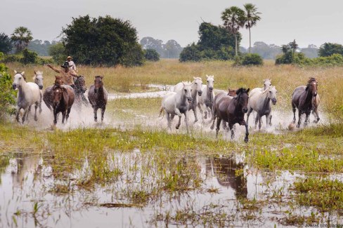 ID-North-Pantanal_credit-to-Araras-Eco-Lodge-web