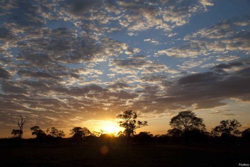 pantanal2-Pixabay-web