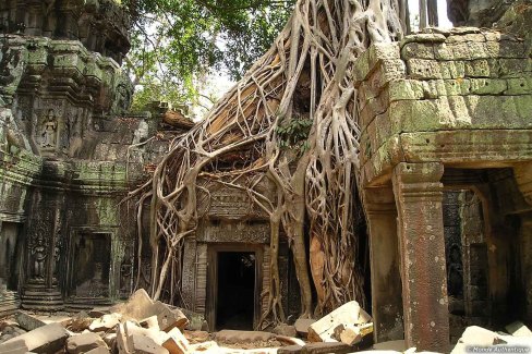 Découverte du site de Siem Reap avec des enfants au Cambodge