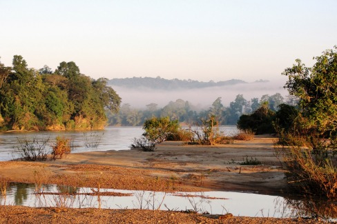 Immersion dans la mangrove du Ratanakiri