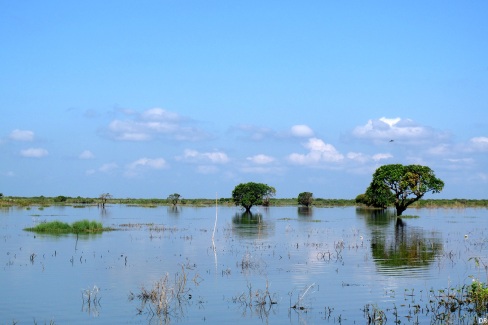 Le lac Tonlé Sap