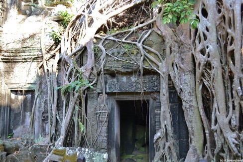 Le Ta Prohm, le temple recouvert par la nature