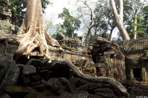 Merveille des temples d'Angkor, le Ta Prohm