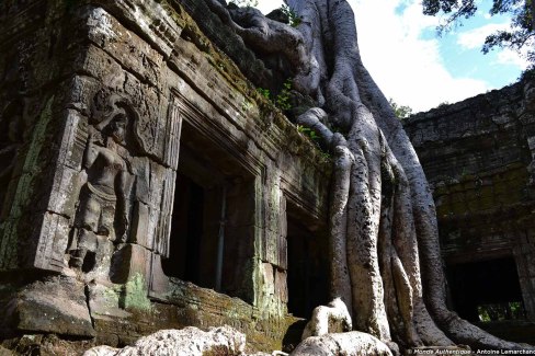 Temple de Ta Prohm dans la cité d'Angkor