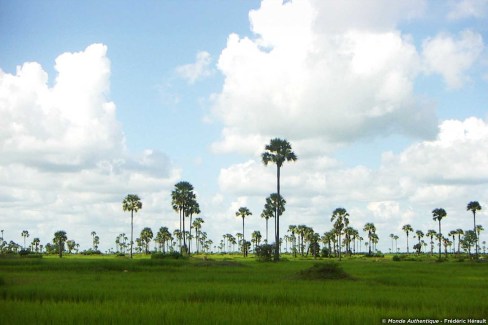 Paysage de campagne dans la région de Battambang
