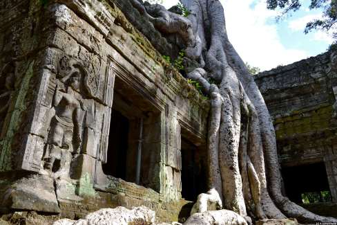 Temple de Ta Prohm dans la cité d'Angkor