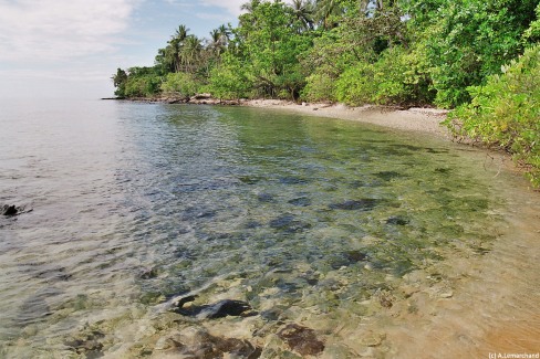 Végétation luxuriante sur les rives de Sihanoukville