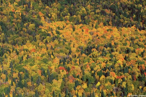 Quebec-Original-Michel-Gotin-reserve-faunique-Ashuapmushuan-web