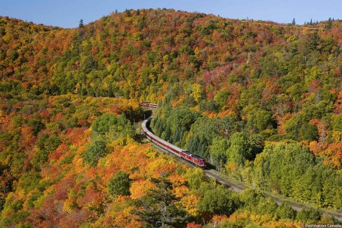 Voyager en train au Canada dans les forêts aux couleurs de l'automne