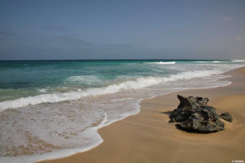 Plage-web