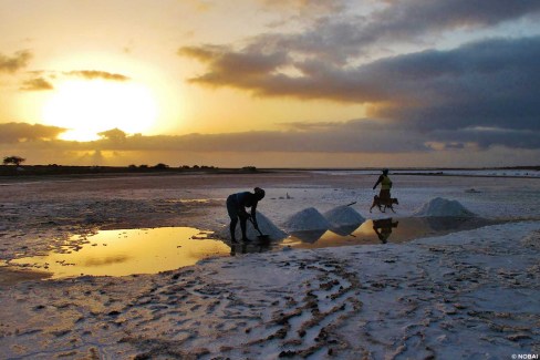 Salinas-maio-web