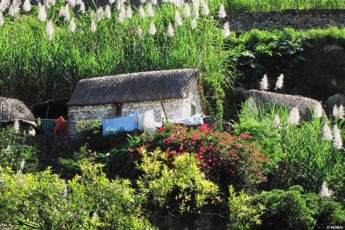 passagem-santo-antao-web