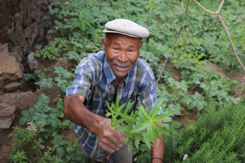 Rencontres authentiques avec les cultivateurs au Cap-Vert