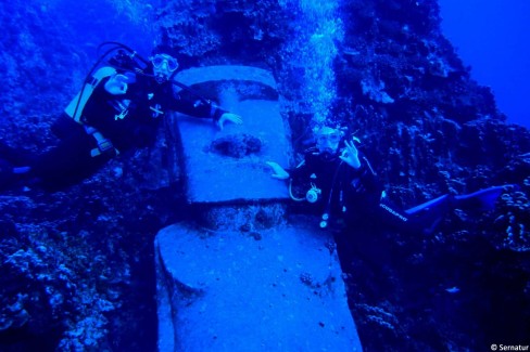 Plongee-dans-les-eaux-du-Pacifique-a-Rapa-Nui-Senatur-web