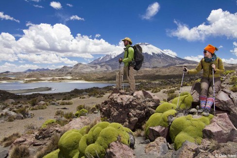cocotani-Chile-Travel-web