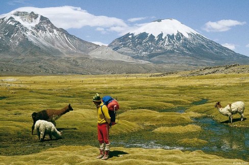 Parc-national-de-Lauca-aux-confins-du-Chili-et-de-la-Bolivie-Chile-Travel-web